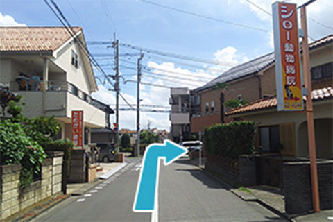 道案内